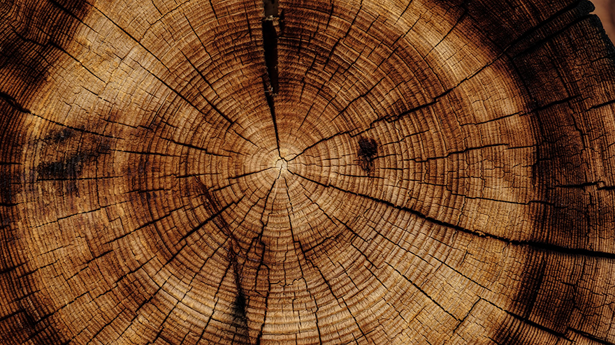 hardwood