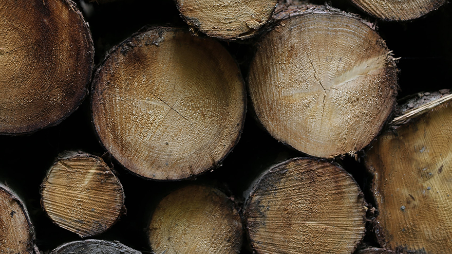hardwood