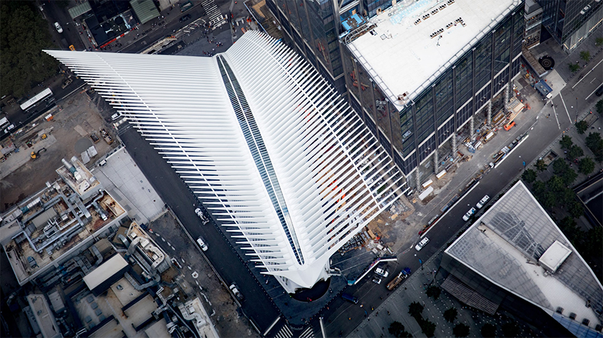 oculus