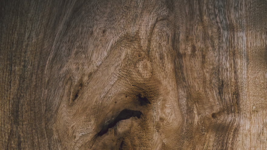 walnut