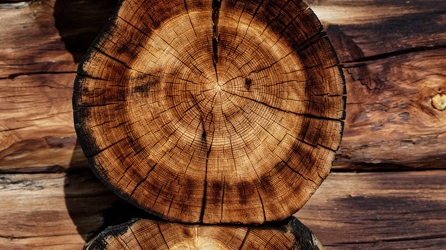 wood