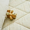 Why a Mattress Protector Is a Must-Have for Every Homeowner