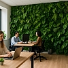 3 Health Benefits You Can Enjoy With an Office Green Wall