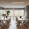 Smart Interior Design: Reduce Burnout in Shared Spaces