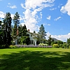 Extra Things to Think About When Choosing Your Landscaping