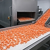 Benefits of Using Industrial IQF Systems in Food Processing
