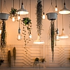 Importance of Lighting in Interior Design