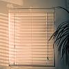 Celebrating Timeless Elegance: A Guide to Stylish Window Dressings